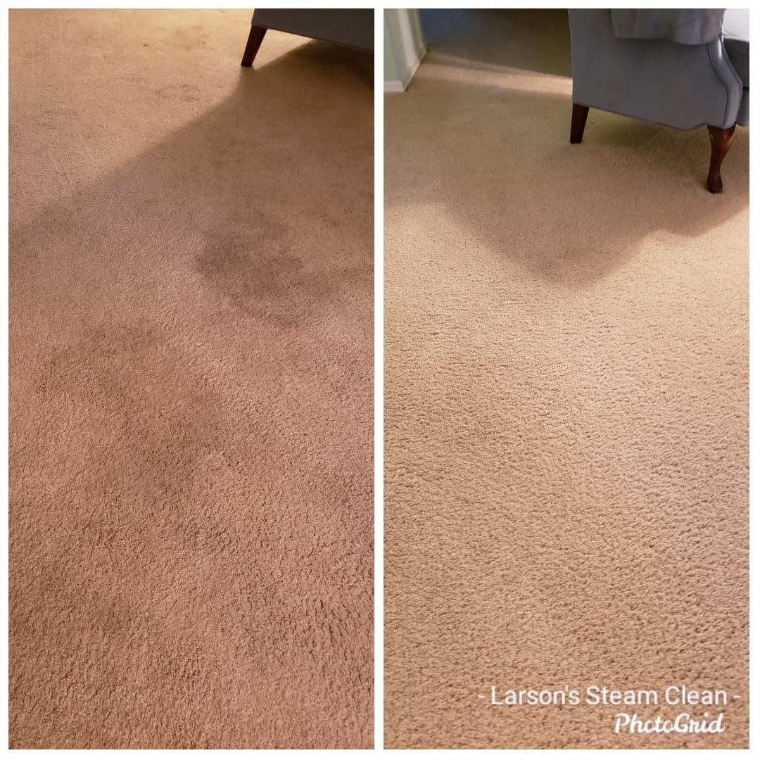 Carpet Cleaning Whether a single room or an entire house full of carpet we are your one stop source for all your carpeting, upholstery, and rug cleaning needs. For your lovable furry pets we can treat your carpet to remove urine and feces spots and deodorize to remove the smells. We have and use specialty tools to make sure we get all the way to the base of your carpet so that it is not just the surface that is clean but the entire fiber of your carpeting. We have the ability to clean, disinfect, and deodorize the carpeting in your home as well as the option of applying a fabric protector that prevents future staining.