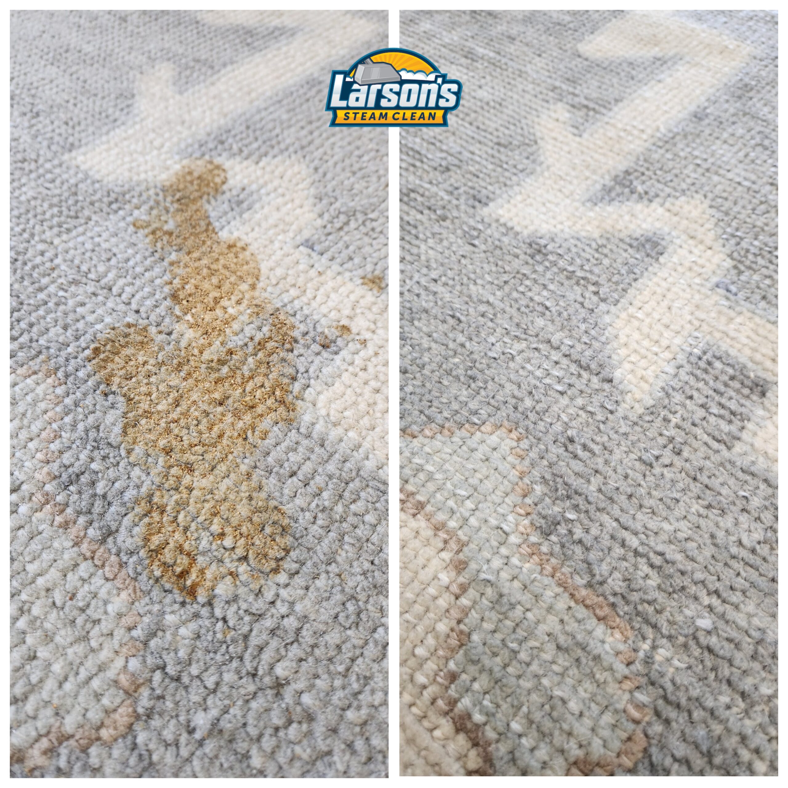 Before and after carpet